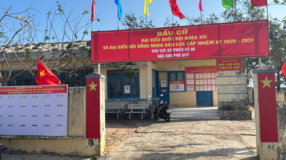 Ulusal Meclis Seçimleri: Phu Quy Özel Ekonomik Bölgesi ulusal kutlamalara hazır.