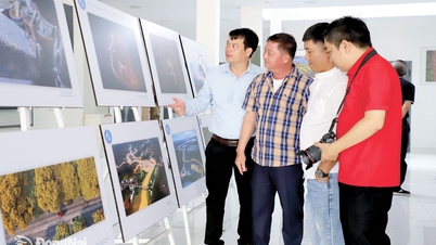 Ðiện ảnh và nhiếp ảnh đồng hành cùng quê hương, đất nước