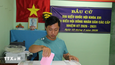 Le vote anticipé a débuté dans la commune de Tan Phu Dong, province de Dong Thap.