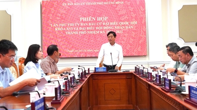 Ho-Chi-Minh-Stadt vergibt Aufgaben zur Organisation der Wahl.