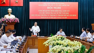 Bekanntmachung des Beschlusses zur Durchführung einer Inspektion und Überwachung des Ständigen Ausschusses des Parteikomitees von Ho-Chi-Minh-Stadt.