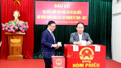 Le secrétaire du parti de la ville de Hai Phong, Le Tien Chau, a voté dans le quartier de Phu Lien.