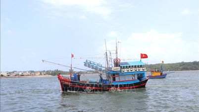 Nemzeti Fesztivál a Dung Quat gazdasági övezetben, Quang Ngaiban