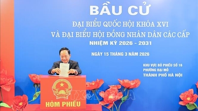 A Központi Propaganda és Tömegmobilizációs Osztály vezetője szavaz Dai Mo választókerületben (Hanoi).