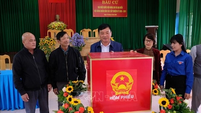 Os eleitores da província de Lam Dong compareceram às urnas com entusiasmo para eleger representantes para a Assembleia Nacional e os Conselhos Populares em todos os níveis.