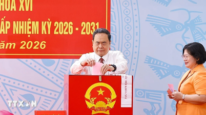 Nationalförsamlingens ordförande Tran Thanh Man avger sin röst i Ho Chi Minh-staden.
