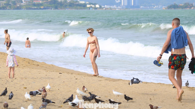 La imagen de las palomas cautivando a los turistas en la playa de Nha Trang.