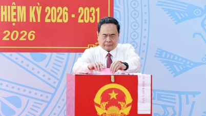 National Assembly Chairman Tran Thanh Man casts his vote at polling station No. 5, Hoc Mon commune, Ho Chi Minh City.