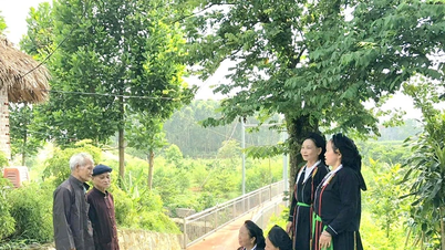 Binh Tuyen – Den Geist des Landlebens inmitten eines modernen Lebensstils bewahren.