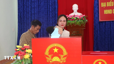 Quang Ngai: Dung Quat اکنامک زون میں قومی تہوار