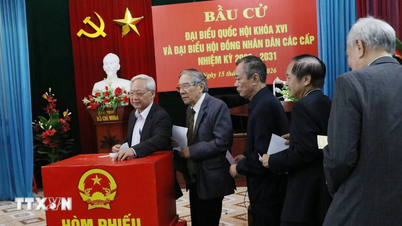 Ninh Binh: Tüm etnik gruplardan seçmenler seçim günü oylarına güveniyor.