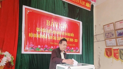La comuna de Tan Chau (provincia de Nghe An) bulle de actividad a medida que se acerca el festival nacional.
