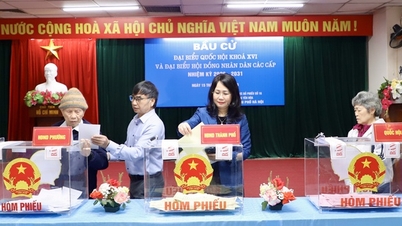 Daimi Bakan Yardımcısı Lam Thi Phuong Thanh, Hanoi'nin Yen Hoa Mahallesi, 16 numaralı Seçim Bölgesi'nde oyunu kullandı.