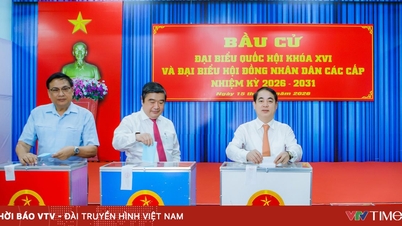 Khanh Hoa: Ruim 1,65 miljoen kiezers hebben enthousiast hun stem uitgebracht voor de vertegenwoordigers van de Nationale Vergadering en de Volksraad op alle niveaus.