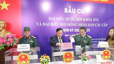 Deputy Speaker of the National Assembly Nguyen Khac Dinh casts his vote at polling station No. 16, Cau Giay ward, Hanoi.