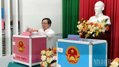 El viceprimer ministro Ho Quoc Dung participa en la votación en el distrito electoral de Quy Nhon Nam.
