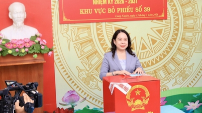 Vicepresident Vo Thi Anh Xuan röstar i provinsen An Giang.