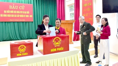 La camarada Le Thi Kim Dung, vicesecretaria del Comité Provincial del Partido, emitió su voto en el colegio electoral número 39, del barrio de Minh Xuan.