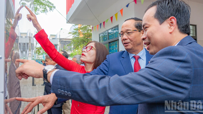 [Video] Nationalförsamlingens vice ordförande Tran Quang Phuong och väljarna i Da Nang litar fullt på valsedeln.