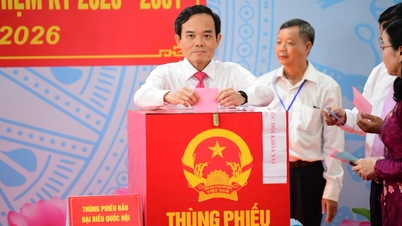 In Ho Chi Minh-stad brachten ruim 9,6 miljoen kiezers hun stem uit, waarbij in sommige gebieden een opkomst van 100% werd bereikt.