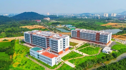 Hanoi is van plan universiteiten met kleine campussen en universiteiten die niet aan de normen voldoen, buiten het stadscentrum te verplaatsen.