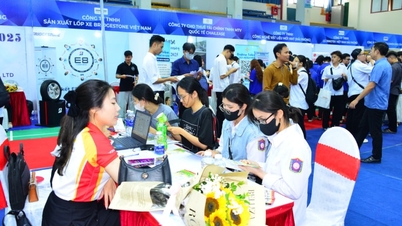 Memecahkan masalah sumber daya manusia logistik berkualitas tinggi di Hai Phong.