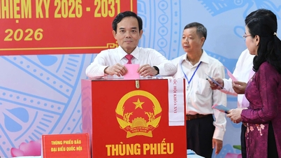 Ciudad Ho Chi Minh: El ambiente en los 5.068 colegios electorales fue verdaderamente festivo para toda la población.