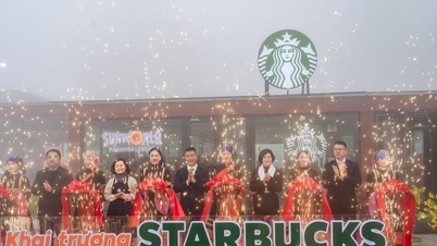 Fansipan: Experimente o café na loja Starbucks mais alta da Ásia.