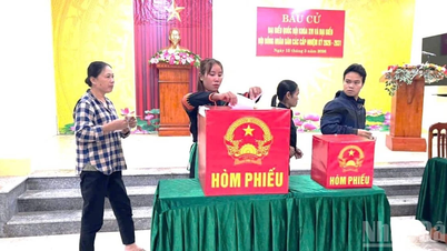 Os membros da etnia Ruc, na província de Quang Tri, votaram antecipadamente.