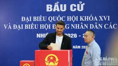 Naturalized players are proud to participate in elections and exercise their civic rights.