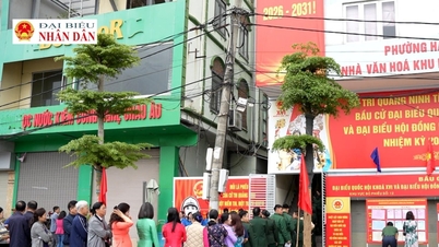 Quang Ninh est en pleine effervescence le jour des élections.