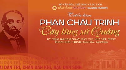 Da Nang sedang menganjurkan pelbagai aktiviti untuk memperingati ulang tahun ke-100 kematian patriot Phan Chau Trinh.