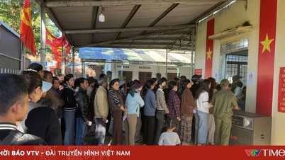 Πάνω από 2,7 εκατομμύρια ψηφοφόροι στην επαρχία Λαμ Ντονγκ προσήλθαν με ενθουσιασμό στις κάλπες σε αυτό το σπουδαίο εθνικό γεγονός.