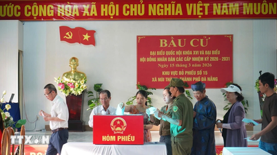 Velgerne i Da Nang by bidrar til å bygge et dedikert og menneskeorientert lederteam.