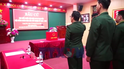 Lang Son eyaletinin sınırındaki bir askerin oyu.