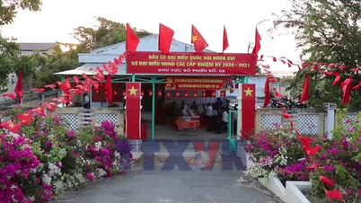 Khanh Hoa'daki seçmenler nükleer santral projesinden yüksek beklentilere sahip.