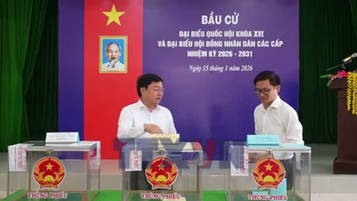 Tay Ninh szavazói lelkesen vesznek részt a választásokon, és hozzájárulnak a nemzet építéséhez.