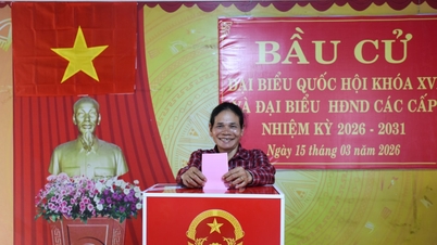 Para pemilih di provinsi Lam Dong dengan antusias mendatangi tempat pemungutan suara, dengan banyak daerah mencapai tingkat partisipasi tinggi sejak awal.
