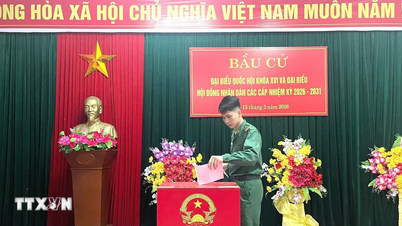 Quang Tri : Les officiers et les soldats des forces armées exercent fièrement leur droit de vote.