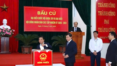 Thanh Hoa: Tingkat partisipasi pemilih mencapai lebih dari 80%