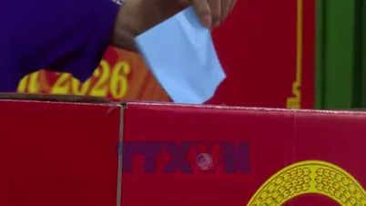 میلیون‌ها رأی‌دهنده در شهر کان تو از حقوق مدنی خود استفاده کردند.