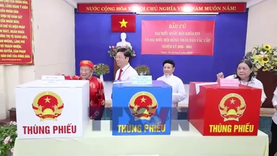 Ho Chi Minh-staden: Valröstsedlar med trosbekännelse från exceptionella väljare.