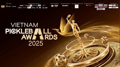 Izgalmas a kategóriák közötti verseny a 2025-ös Vietnam Pickleball Awards díjátadón.