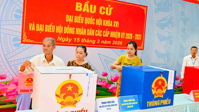 Hô Chi Minh-Ville : Près de 78 % des électeurs ont voté, et de nombreuses localités affichent un taux de participation supérieur à 90 %.