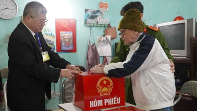 Тай Нгуєн: Літній виборець голосує за віру.