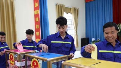 Quang Ninh: Délután 3 órára a választási részvételi arány elérte a 98,53%-ot.