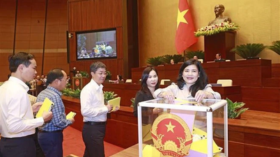 Mosi kepercayaan – sebuah langkah maju yang besar dalam pengawasan dan kerja demokratis Majelis Nasional.