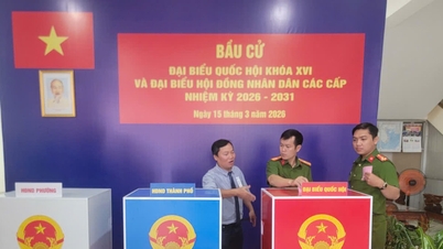 Ho Chi Minh City: Representatives of the people must speak on behalf of the people.