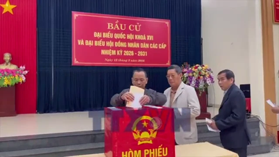 Quang Tri eyaletindeki birçok yerleşim yerinde seçmen katılım oranı %100'e ulaştı.