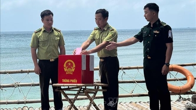 ٹرٹل آئی لینڈ کی حفاظت کرنے والے جنگل کے رینجرز کے پاس بیلٹ بکس کو سمندر کے پار لانا۔
